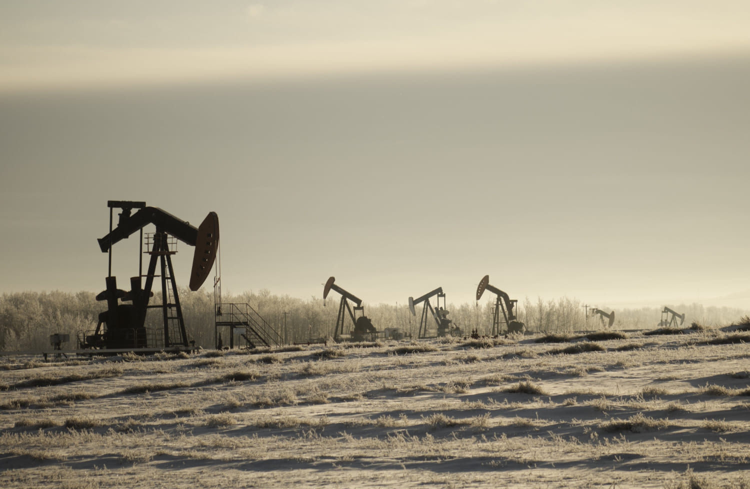 Китай продолжит покупать российскую нефть, несмотря на угрозы США