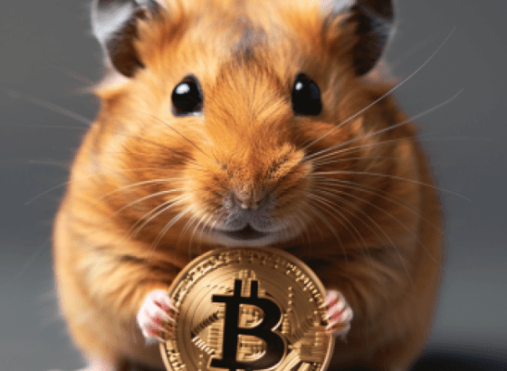 Hamster Kombat – кликай и зарабатывай. Оно нам надо?