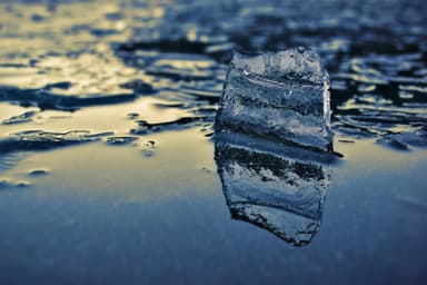 После Венесуэлы США планируют сделать Гренландию снова великой