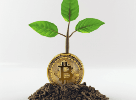 В крипте начался движ! Бежим покупать, пока все растет?