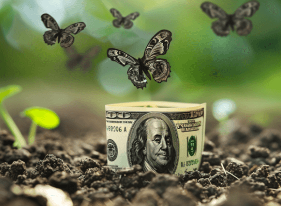 Рублю снова несладко. В чем дело?