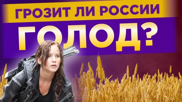 Грозит ли России голод? Дефицит сахара и продовольственные сертификаты / Мнения экспертов