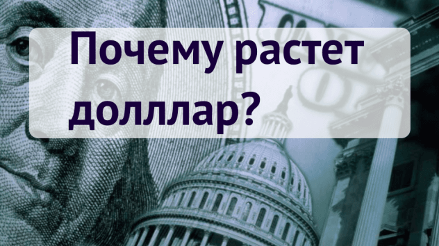 Доллар США: прогноз на неделю 12-18 февраля