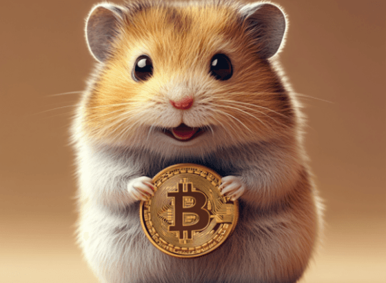 26 сентября на крупнейших криптобиржах наконец состоялся листинг токена Hamster