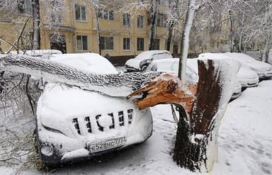 Апрельский снегопад парализовал инфраструктуру Центральной России