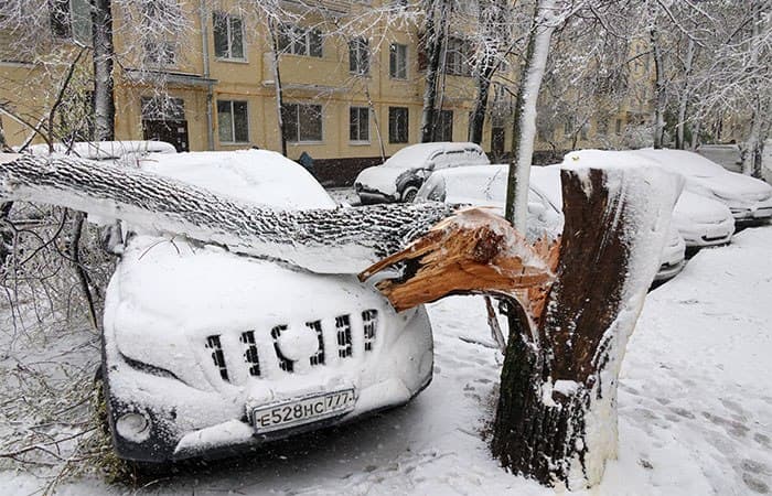 Апрельский снегопад парализовал инфраструктуру Центральной России