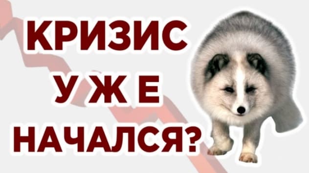 Падение рынков не остановить. Прогноз Рубини: худшее впереди