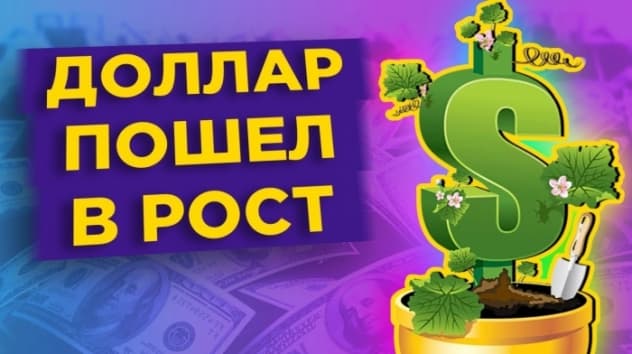 Почему курс доллара растет в августе 2020? / Обзор валютного рынка