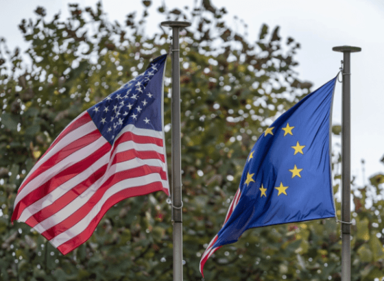 Хочу купить валюту! Что лучше: доллар или евро?