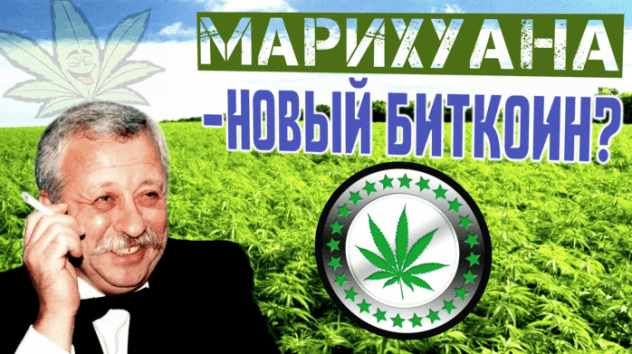 Марихуана - новый биткоин?