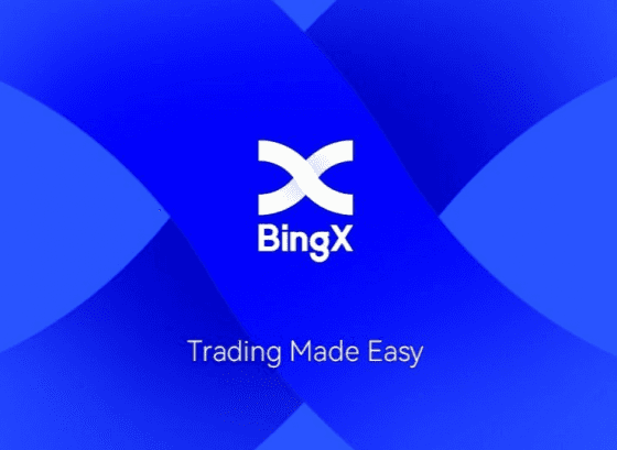Пассивный доход в криптовалюте с партнерской программой BingX: зарабатывайте от 2500 USDT в месяц