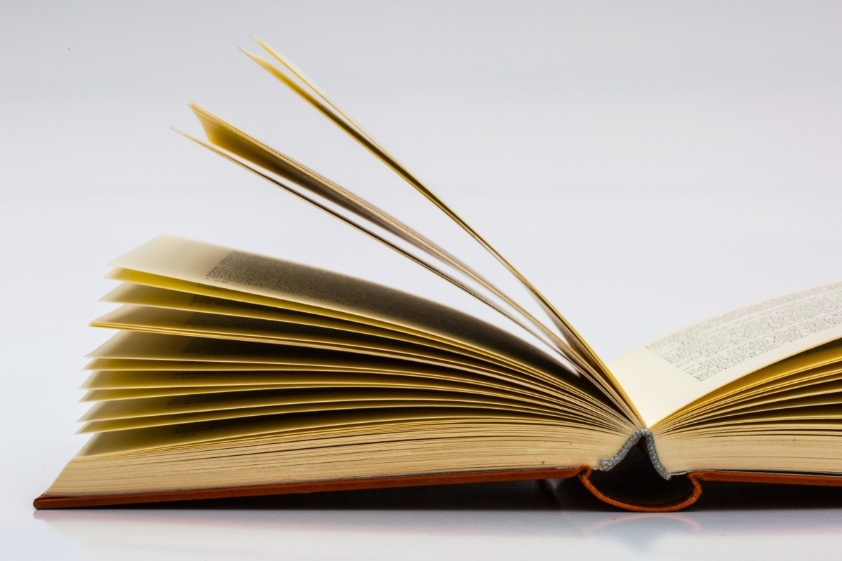 Илон Маск запустил Grokipedia как альтернативу Wikipedia