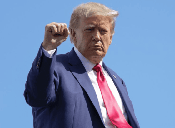 Семья Трампа может войти в бизнес BinanceUS