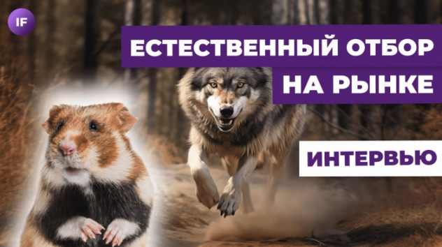 Покупать на просадке или бежать? Страх инвестиций в 2023 / Василий Соловьев (Арсагера)