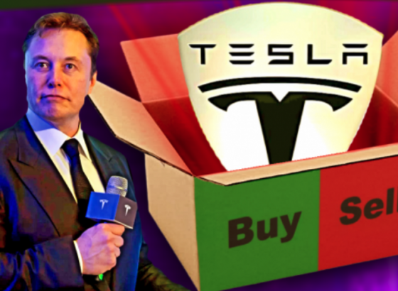 Акции Tesla (TSLA).