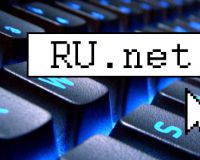 Рунет посещают до 80 млн