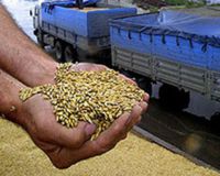 Запасы зерна в РФ