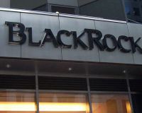 BlackRock обвинили в