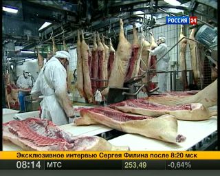 Российское свиноводство