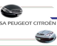 Peugeot по итогам 2012