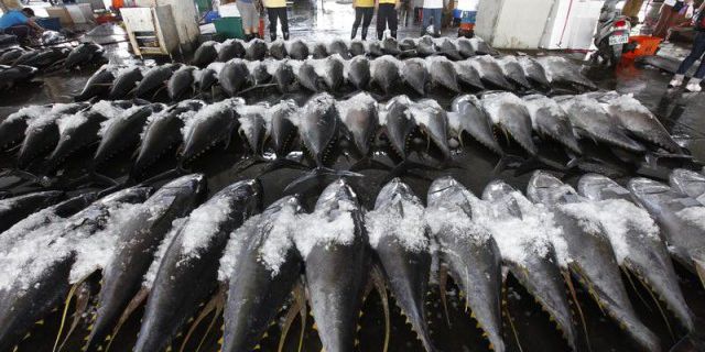Мировые цены на рыбу