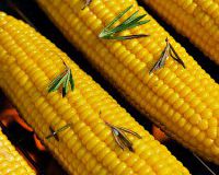 Цена на кукурузу