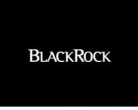 BlackRock предупреждает