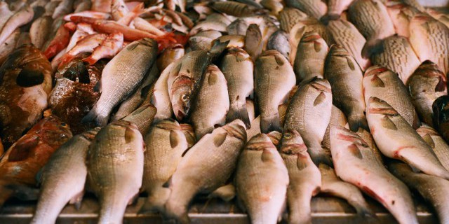 Рынок рыбы в России: кто