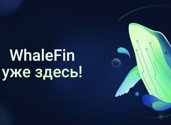 Платформа WhaleFin от