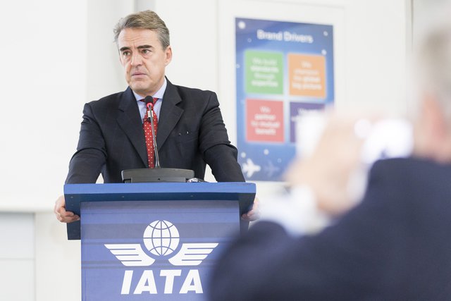 IATA: прибыль