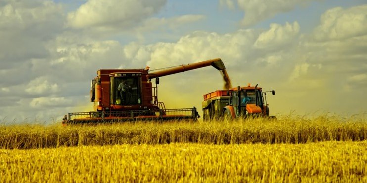 Минсельхоз: урожай зерна