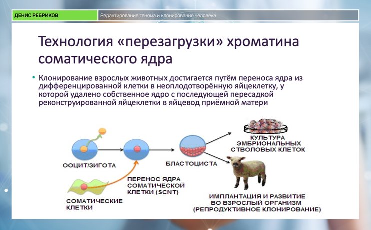 Клонирование голоса по образцу онлайн